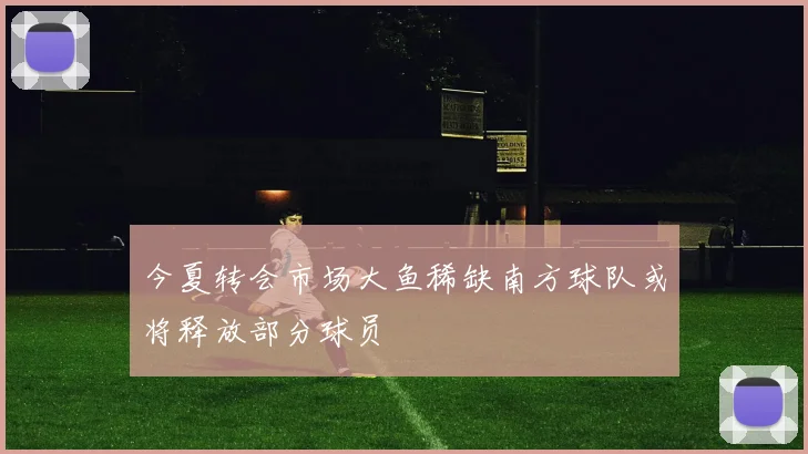 今夏转会市场大鱼稀缺南方球队或将释放部分球员