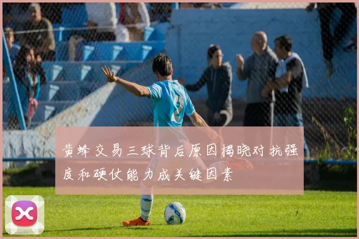黄蜂交易三球背后原因揭晓对抗强度和硬仗能力成关键因素