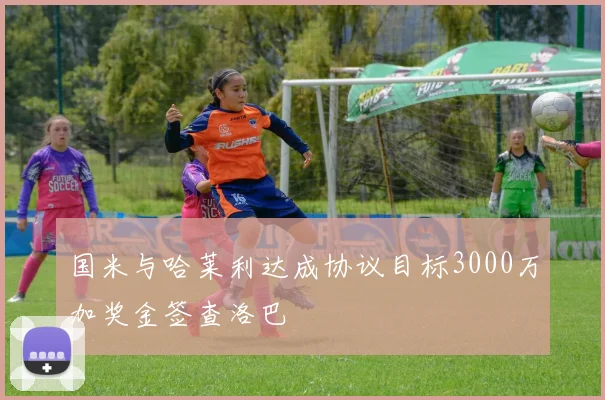 国米与哈莱利达成协议目标3000万加奖金签查洛巴